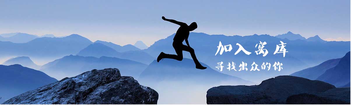 区域代理，盛大招募